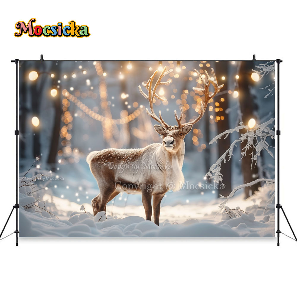 Winter Snow Scenes Photography - Photography Natural Lighting 评论和价格