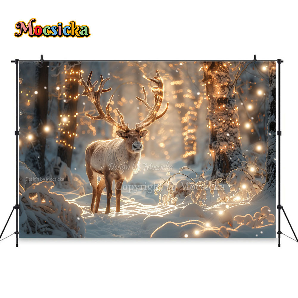 Winter Snow Scenes Photography - Photography Natural Lighting 评论和价格