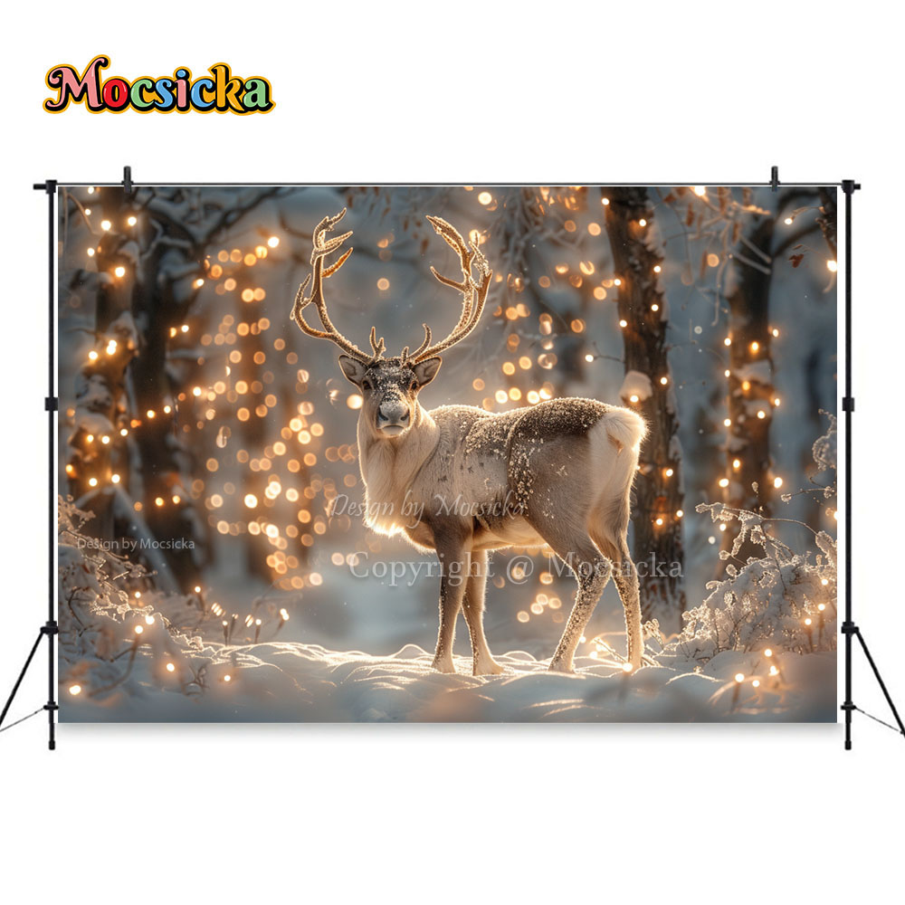 Winter Snow Scenes Photography - Photography Natural Lighting 评论和价格