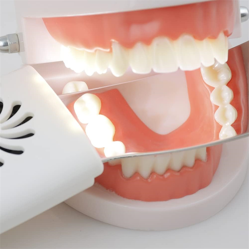 Dental Anti-Fog Mirrors With L - Photography Dental 评论和价格