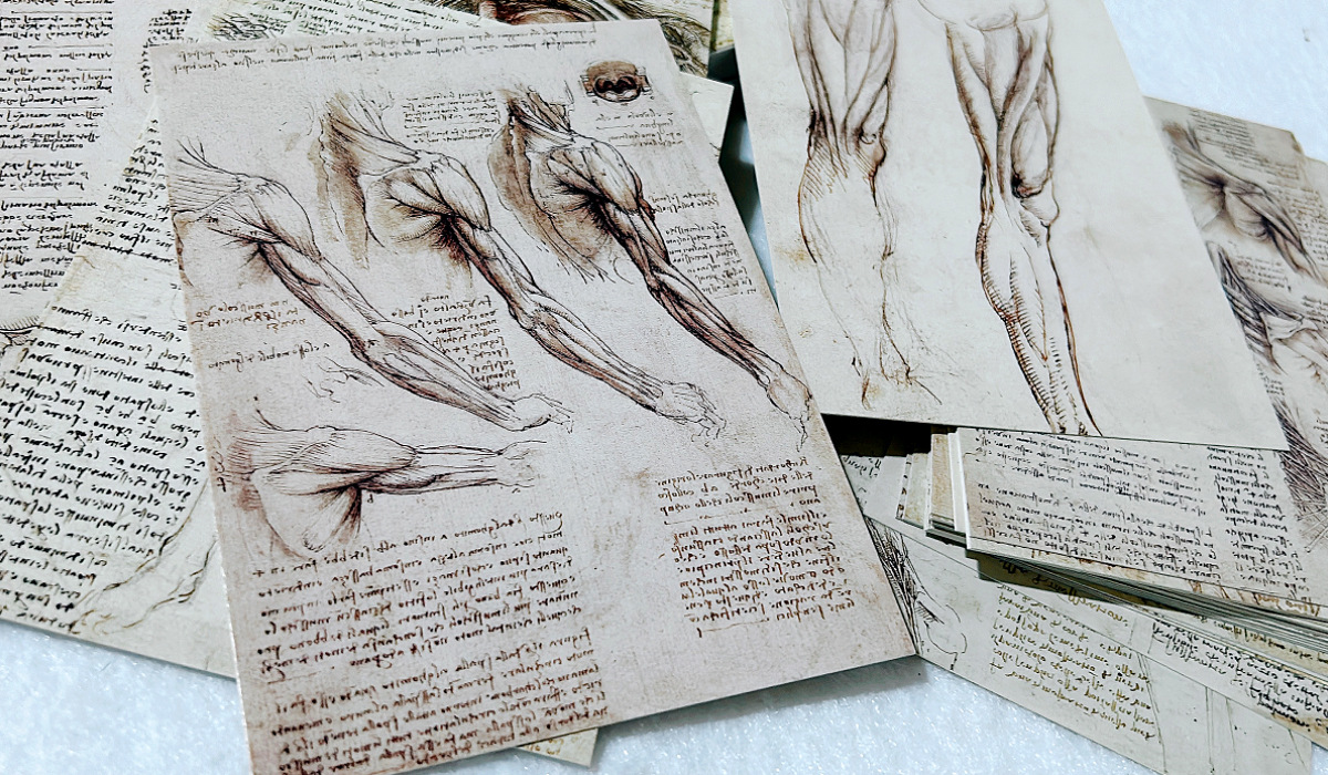 30Sheets/Lot Leonardo Da Vinci - Photography Types 评论和价格