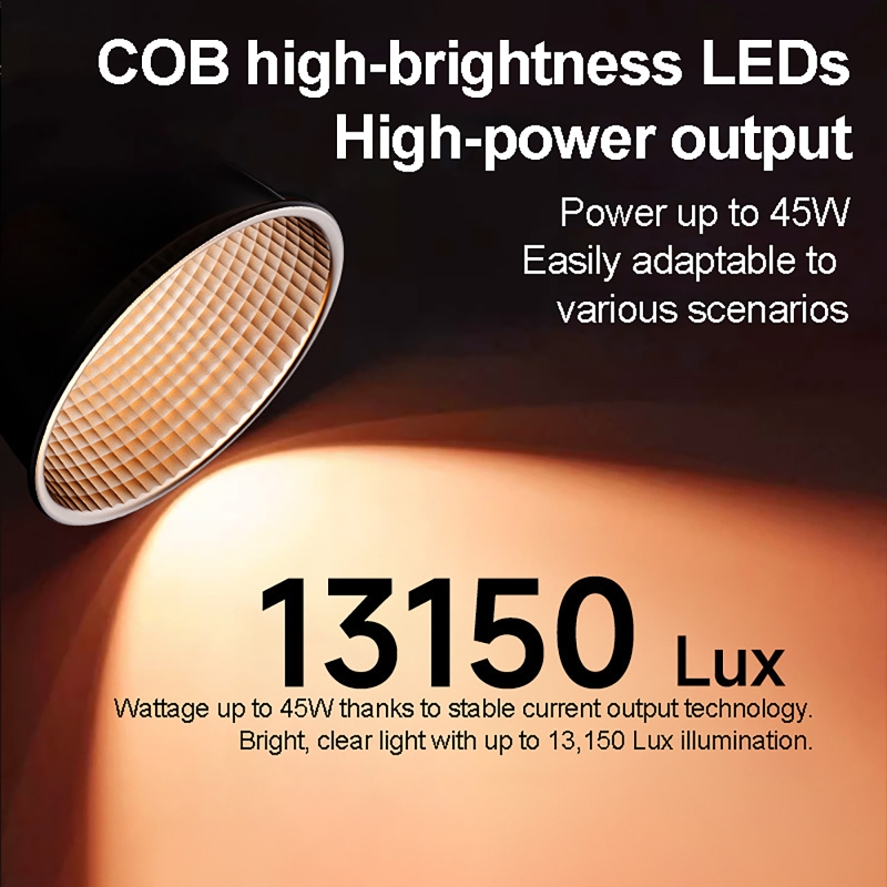 60W RGB Video Light Portable L - Photography Natural Lighting 评论和价格